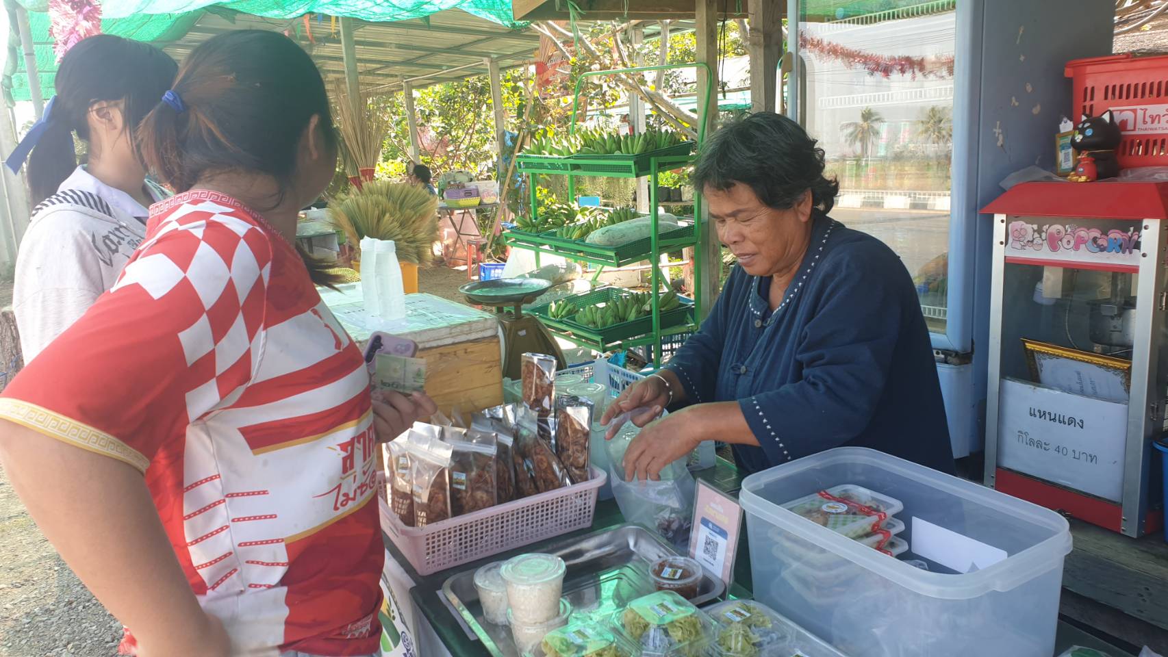 👉พช.มโนรมย์ ขับเคลื่อนกิจกรรม  ตลาดนัดคนไทยยิ้มได้ โคก หนอง นา ย่ากะปู่ (นุชจุ้ย) อำเภอมโนรมย์